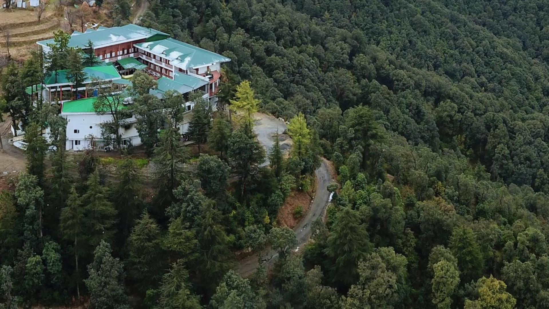 Treehouse Chail Villas Extérieur photo